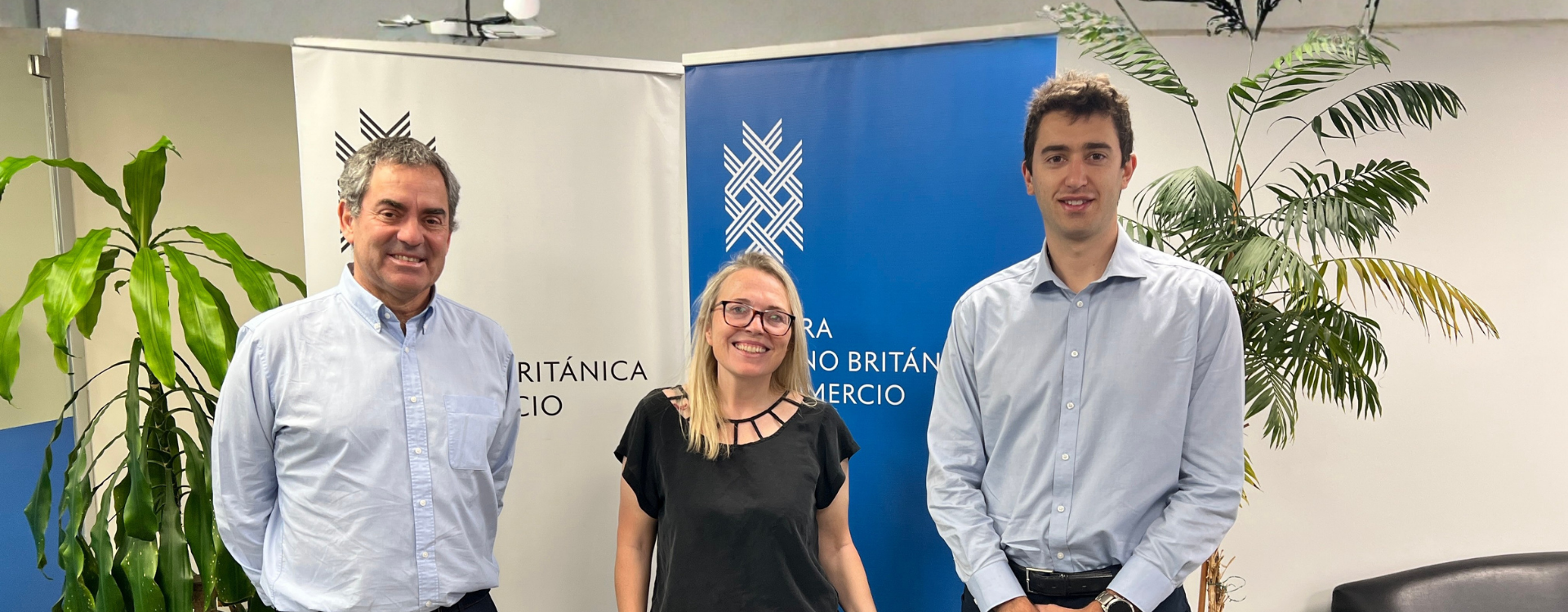 Diseño sin título - 2025-12-16T152744